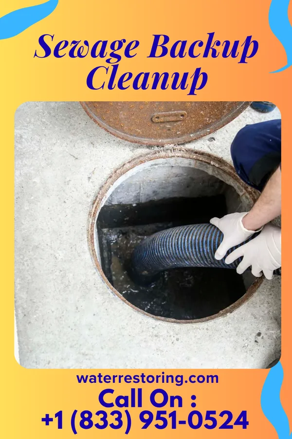 Sewage Backup Cleanup in Addieville, IL
